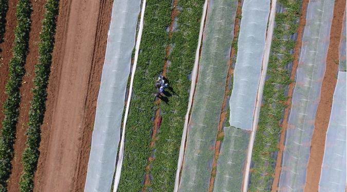 field view from drone